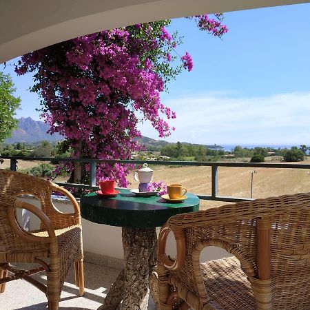 Vacanza In Ogliastra Tertenìa Dış mekan fotoğraf