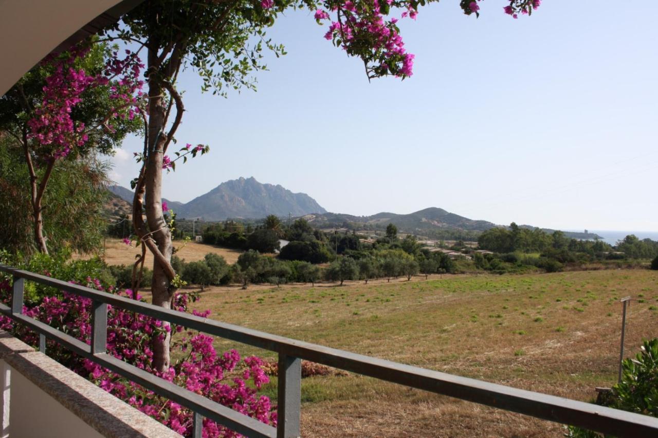 Vacanza In Ogliastra Tertenìa Dış mekan fotoğraf