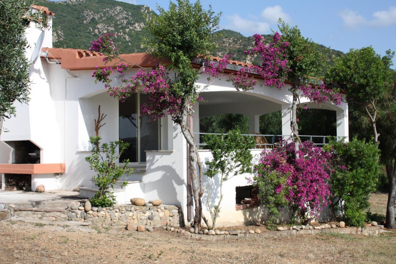 Vacanza In Ogliastra Tertenìa Dış mekan fotoğraf