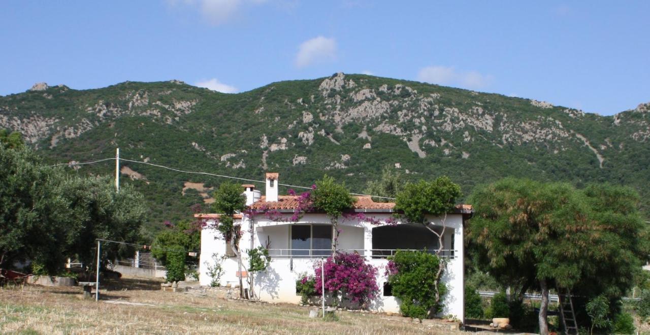 Vacanza In Ogliastra Tertenìa Dış mekan fotoğraf