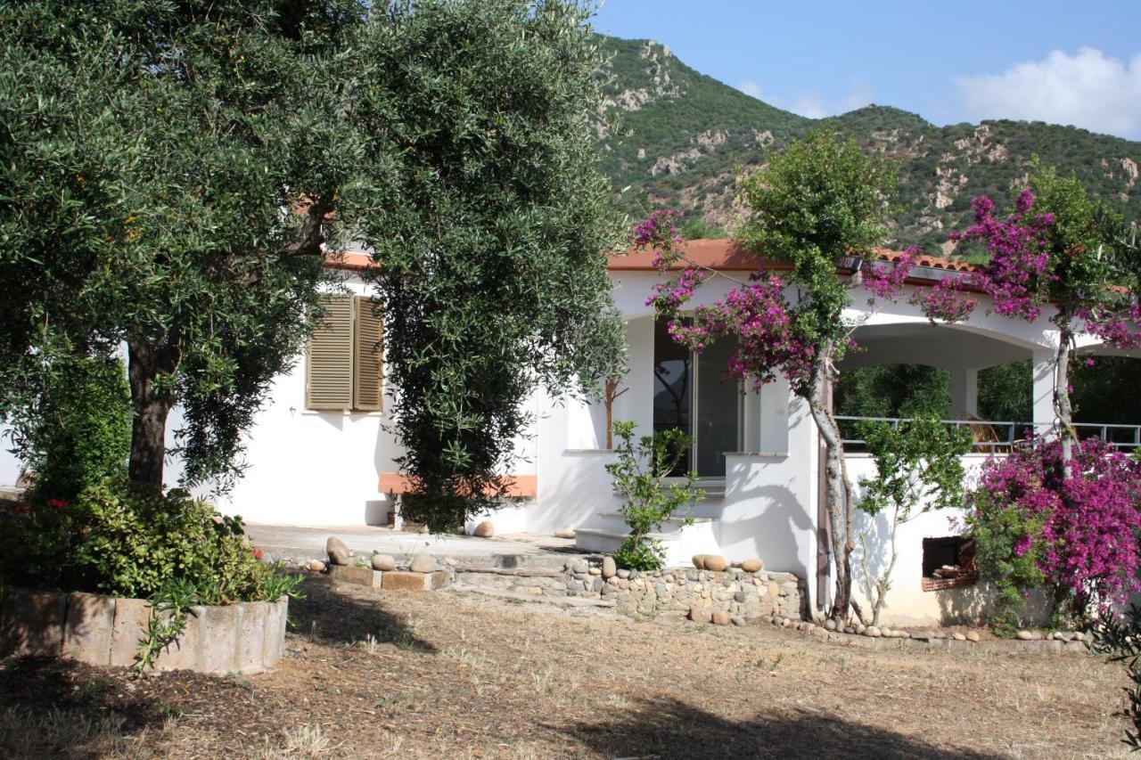 Vacanza In Ogliastra Tertenìa Dış mekan fotoğraf