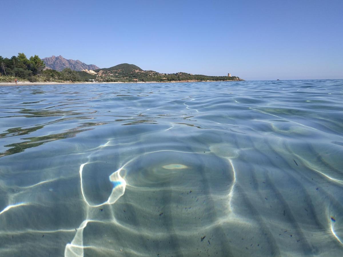 Vacanza In Ogliastra Tertenìa Dış mekan fotoğraf