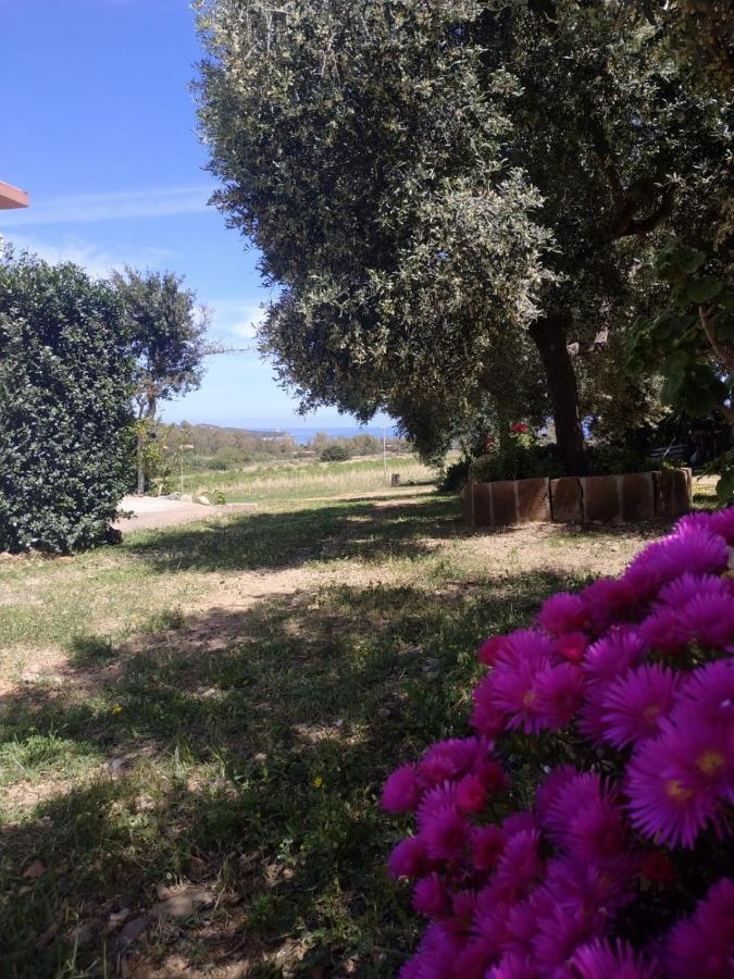 Vacanza In Ogliastra Tertenìa Dış mekan fotoğraf