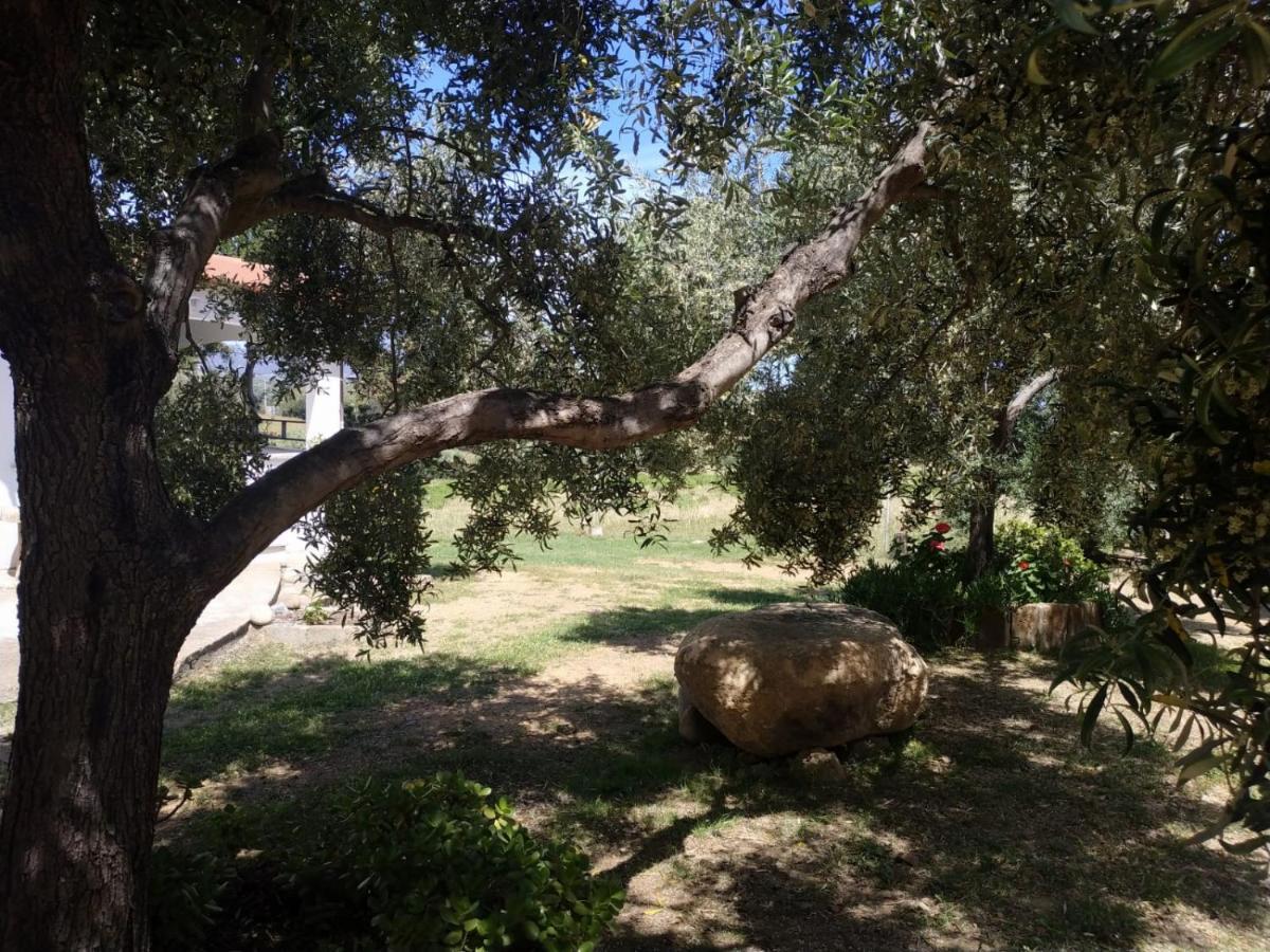 Vacanza In Ogliastra Tertenìa Dış mekan fotoğraf