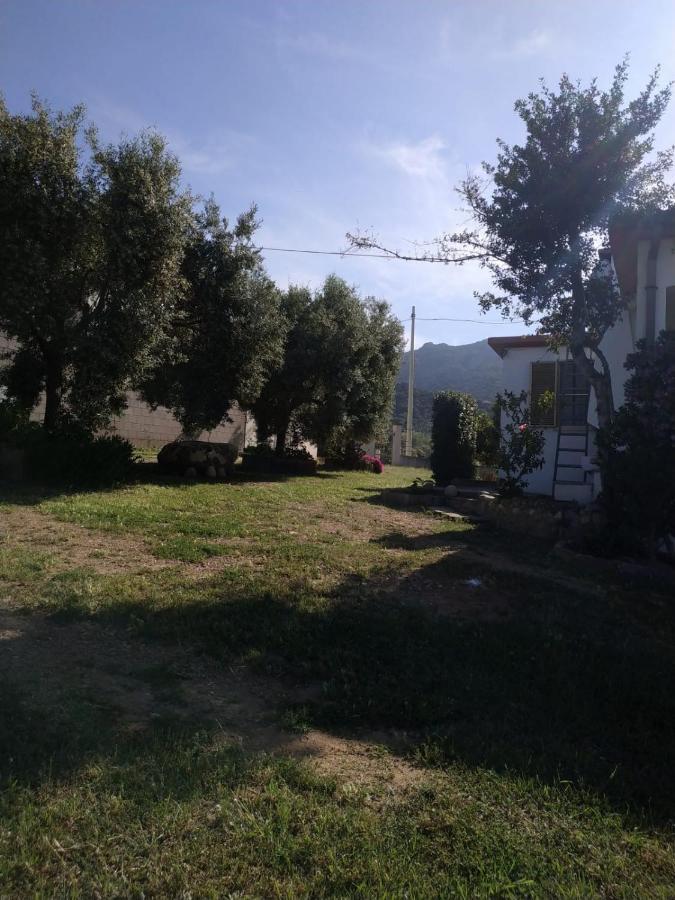 Vacanza In Ogliastra Tertenìa Dış mekan fotoğraf