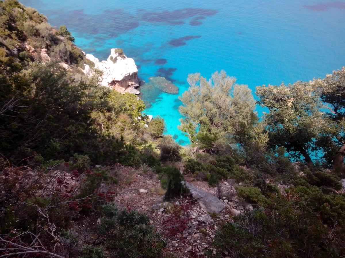 Vacanza In Ogliastra Tertenìa Dış mekan fotoğraf