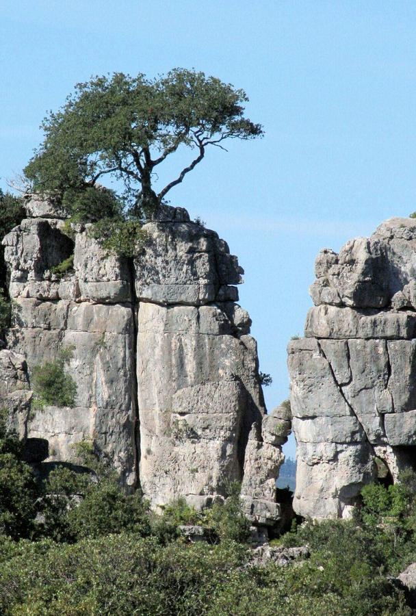 Vacanza In Ogliastra Tertenìa Dış mekan fotoğraf