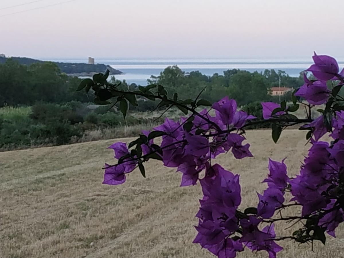 Vacanza In Ogliastra Tertenìa Dış mekan fotoğraf